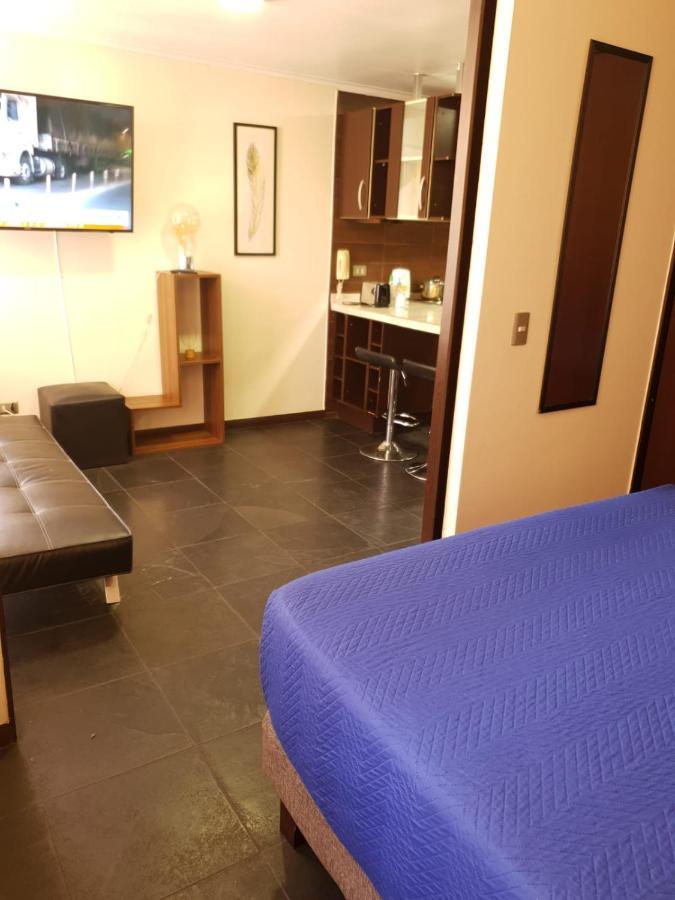 Departamento Con Terraza R&M Daire Santiago Dış mekan fotoğraf